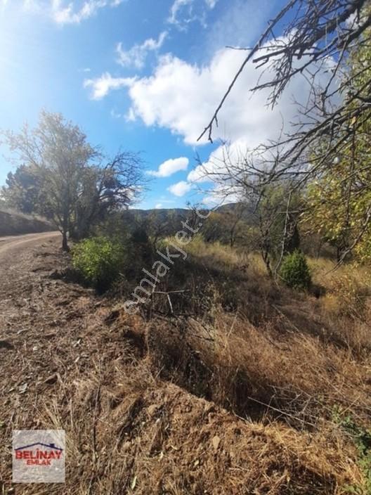 &bilecik Merkeze 3.km Mesafede Resmi Yolu Olan Hobi Bahçesi & — fotoğraf 18