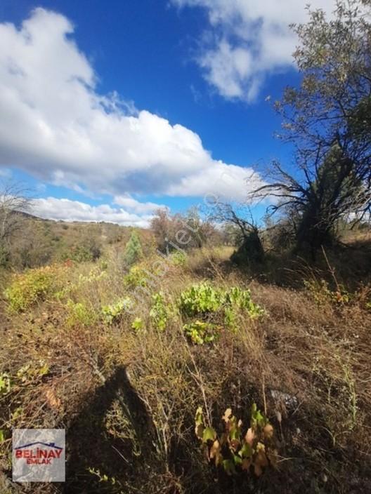 &bilecik Merkeze 3.km Mesafede Resmi Yolu Olan Hobi Bahçesi & — fotoğraf 22