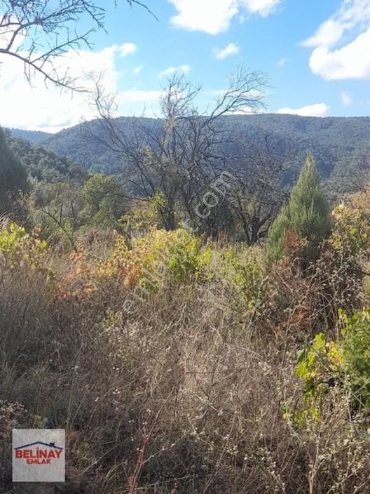 &bilecik Merkeze 3.km Mesafede Resmi Yolu Olan Hobi Bahçesi & — fotoğraf 24