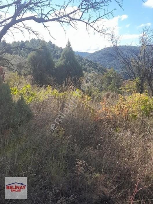 &bilecik Merkeze 3.km Mesafede Resmi Yolu Olan Hobi Bahçesi & — fotoğraf 25