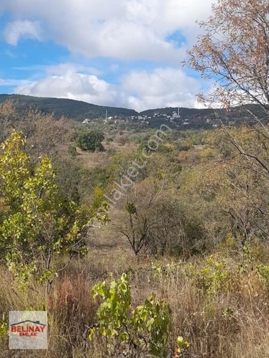 &bilecik Merkeze 3.km Mesafede Resmi Yolu Olan Hobi Bahçesi & — fotoğraf 27