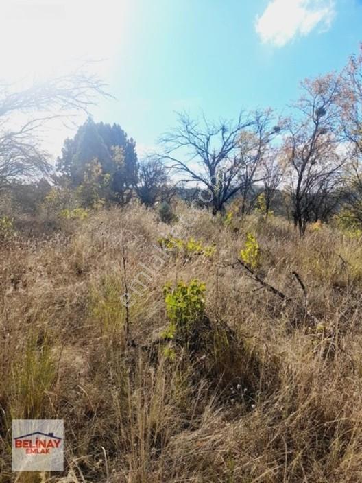 &bilecik Merkeze 3.km Mesafede Resmi Yolu Olan Hobi Bahçesi & — fotoğraf 28