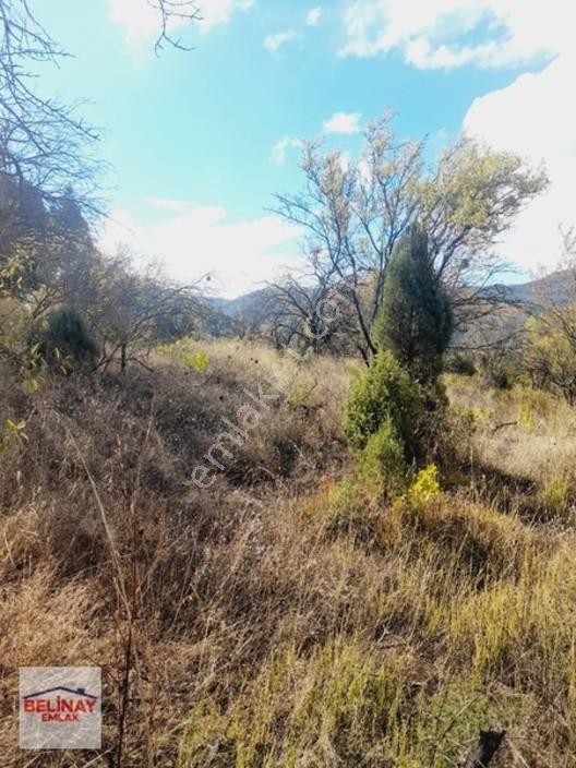 &bilecik Merkeze 3.km Mesafede Resmi Yolu Olan Hobi Bahçesi & — fotoğraf 29