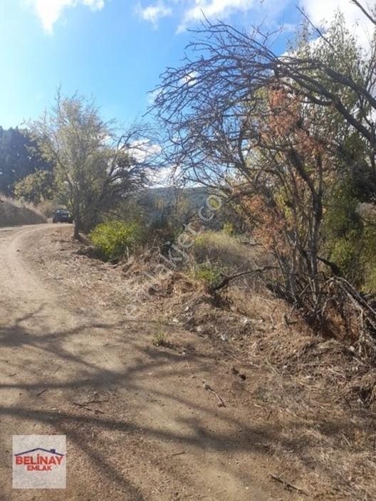 &bilecik Merkeze 3.km Mesafede Resmi Yolu Olan Hobi Bahçesi & — fotoğraf 31