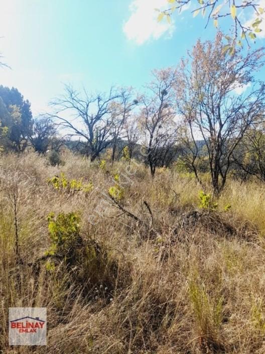 &bilecik Merkeze 3.km Mesafede Resmi Yolu Olan Hobi Bahçesi & — fotoğraf 35