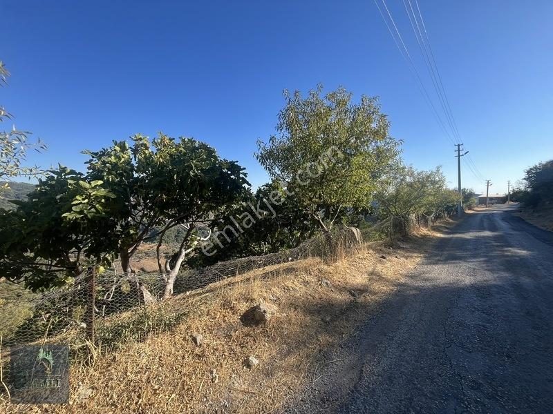Doğa İçinde Yatırım Fırsatı: Güzelbahçe Payamlı'da Arsa — fotoğraf 6