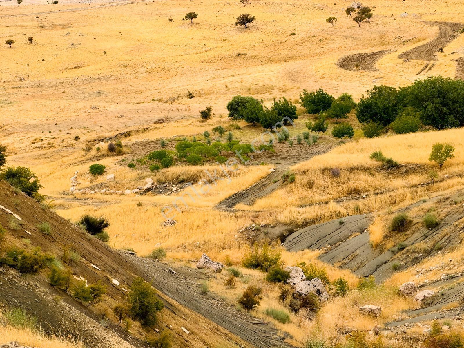 İmar Yakınında Satılık 4.500 M2 Satılık Müstakil Tapulu Bağ