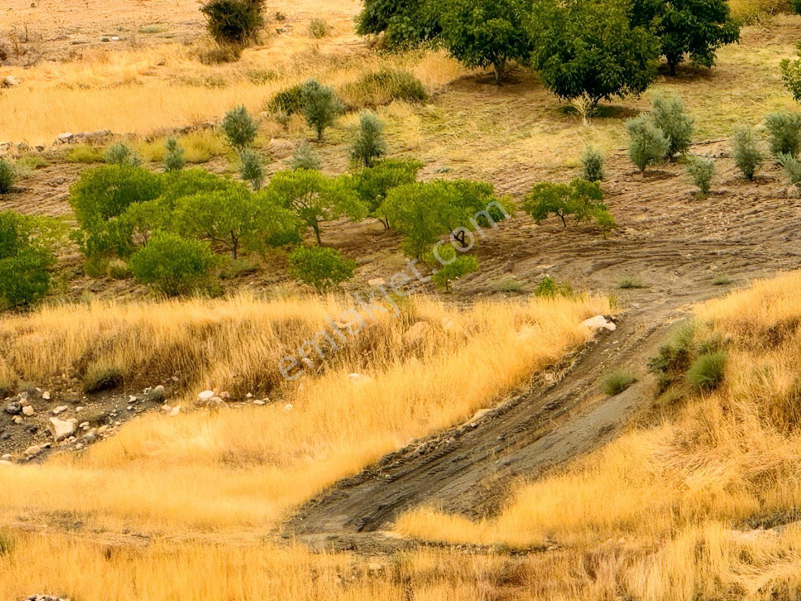 İmar Yakınında Satılık 4.500 M2 Satılık Müstakil Tapulu Bağ — fotoğraf 13