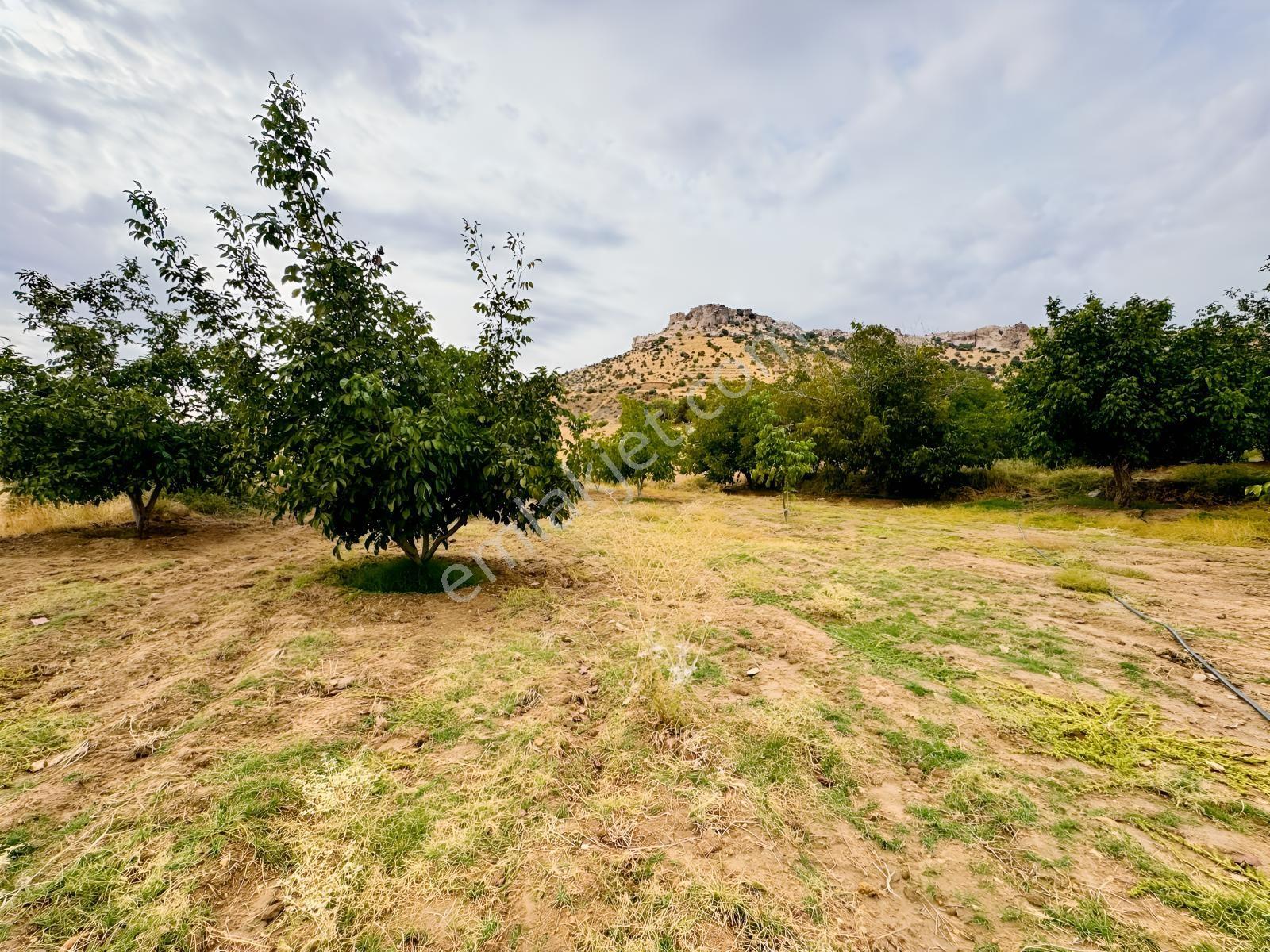 İmar Yakınında Satılık 4.500 M2 Satılık Müstakil Tapulu Bağ — fotoğraf 14