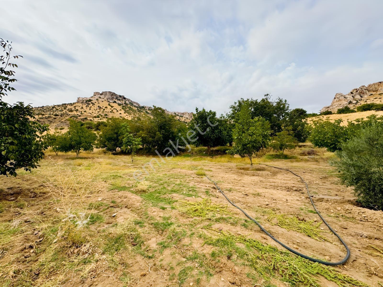 İmar Yakınında Satılık 4.500 M2 Satılık Müstakil Tapulu Bağ — fotoğraf 15