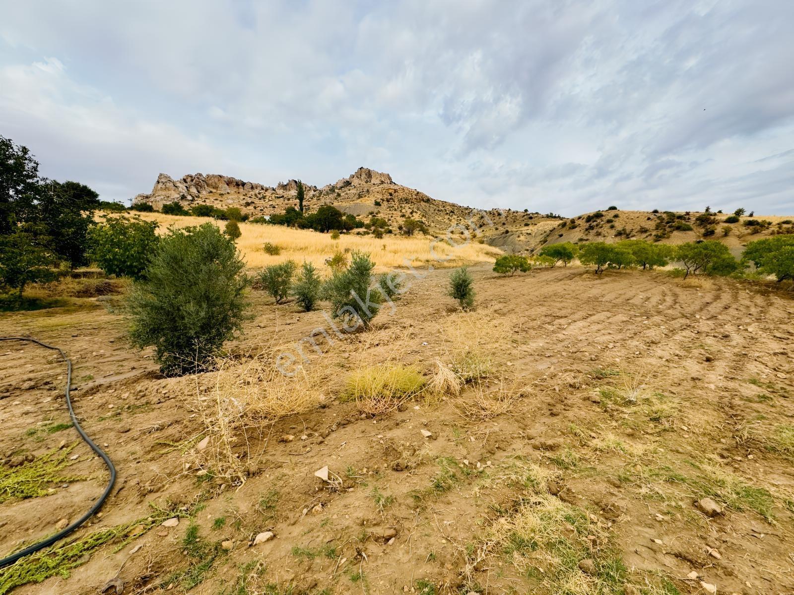 İmar Yakınında Satılık 4.500 M2 Satılık Müstakil Tapulu Bağ — fotoğraf 16