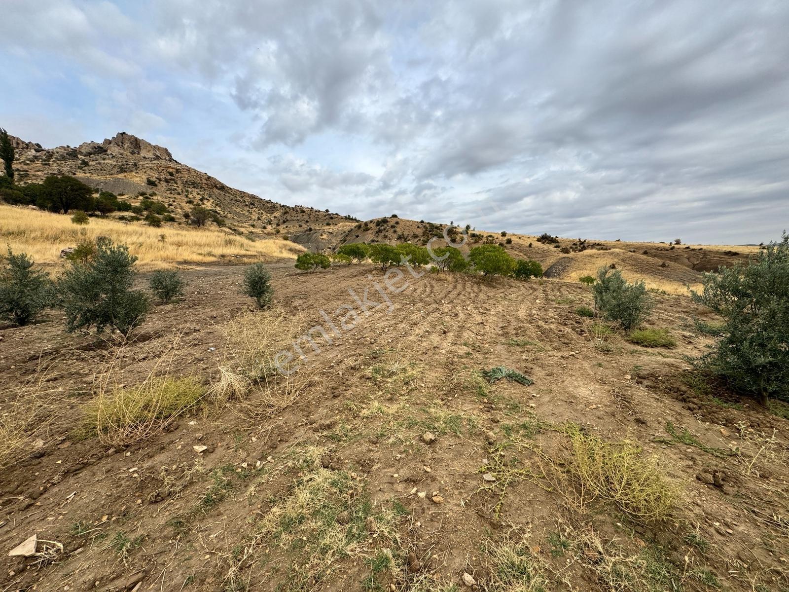 İmar Yakınında Satılık 4.500 M2 Satılık Müstakil Tapulu Bağ — fotoğraf 17