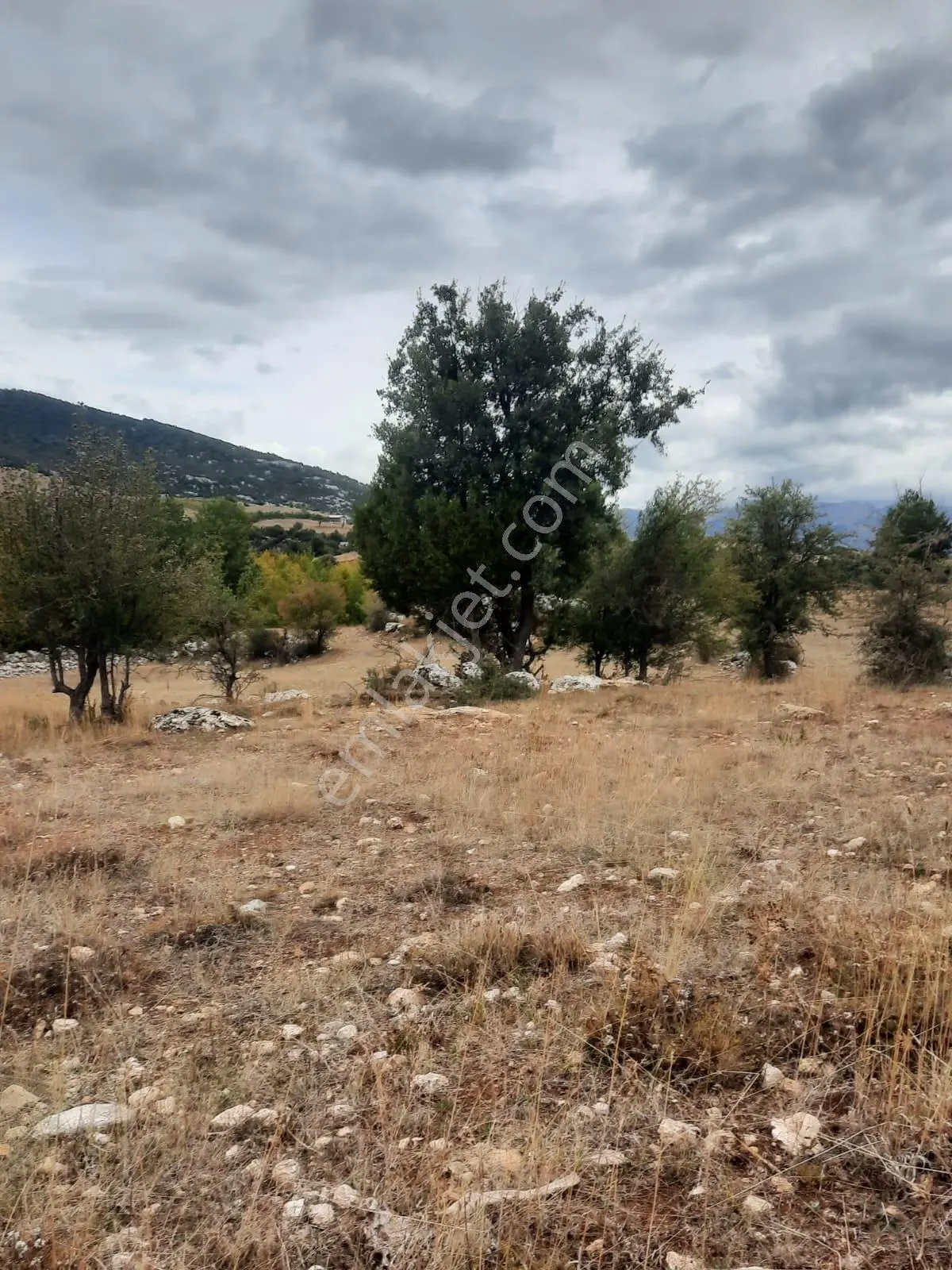 Seydikemer Y. Eldirek Tek Tapu Müstakil Arazi 4361 M2 — fotoğraf 4
