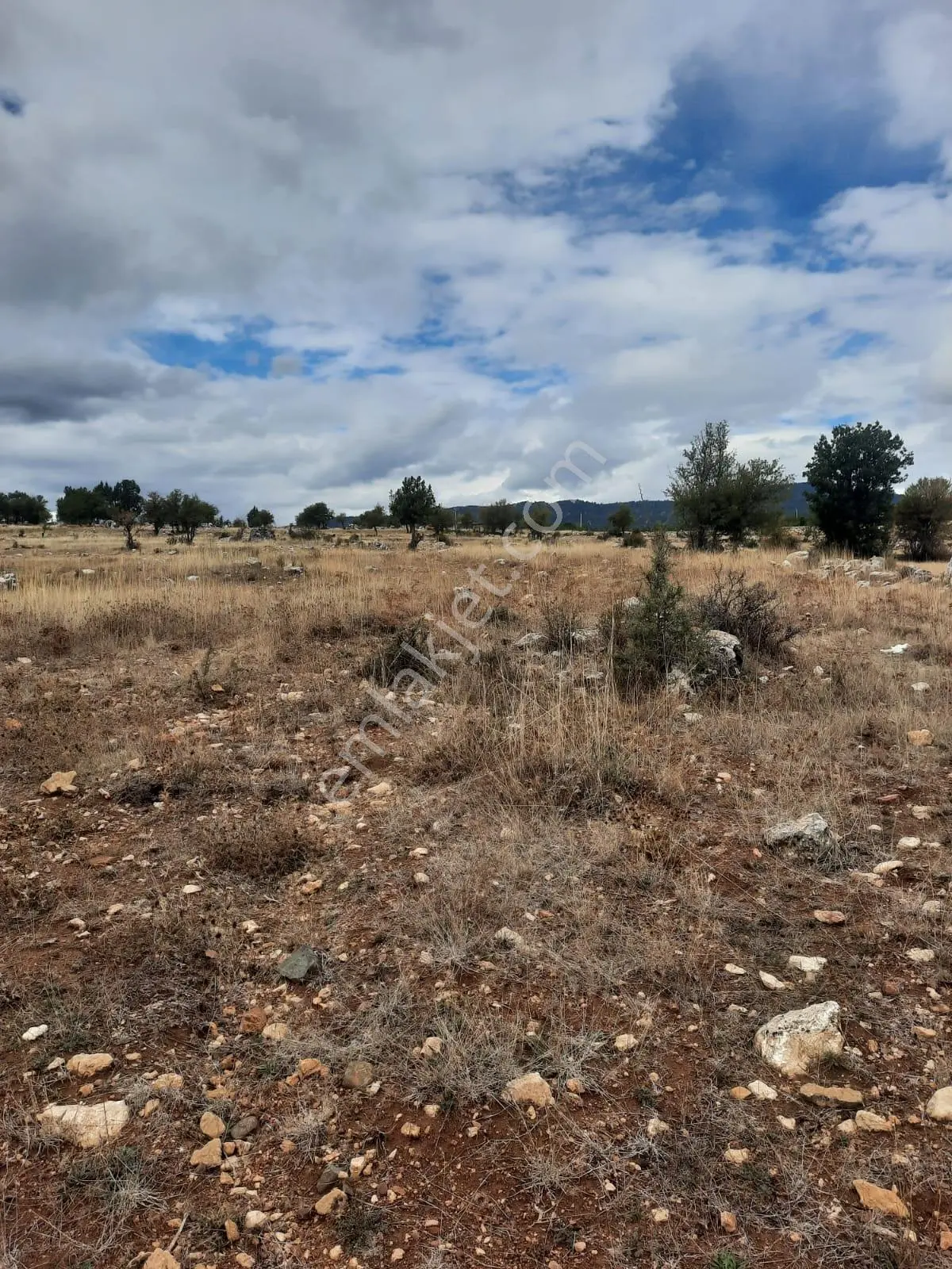 Seydikemer Y. Eldirek Tek Tapu Müstakil Arazi 4361 M2 — fotoğraf 5