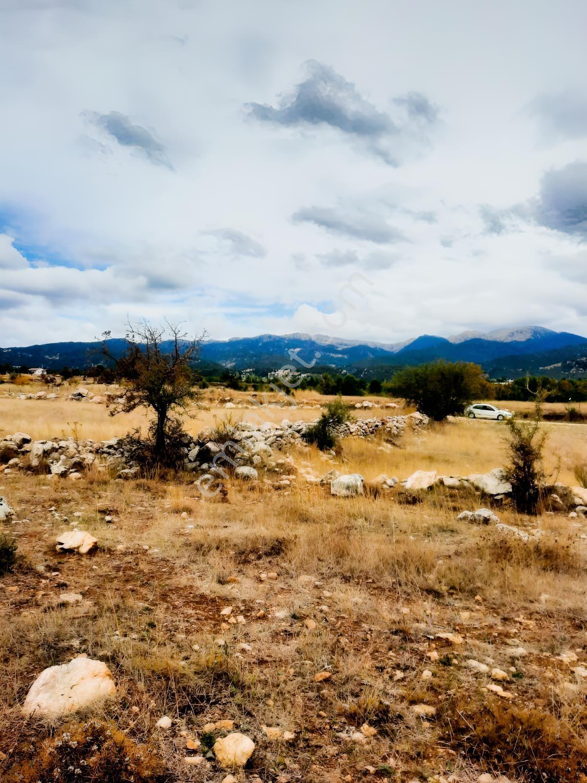 Seydikemer Y. Eldirek Tek Tapu Müstakil Arazi 4361 M2 — fotoğraf 6