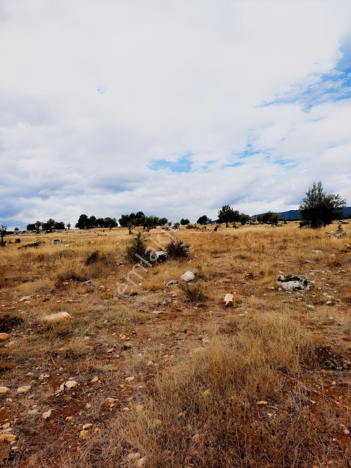 Seydikemer Y. Eldirek Tek Tapu Müstakil Arazi 4361 M2 — fotoğraf 7