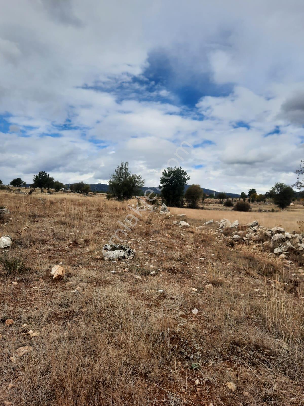 Seydikemer Y. Eldirek Tek Tapu Müstakil Arazi 4361 M2 — fotoğraf 8