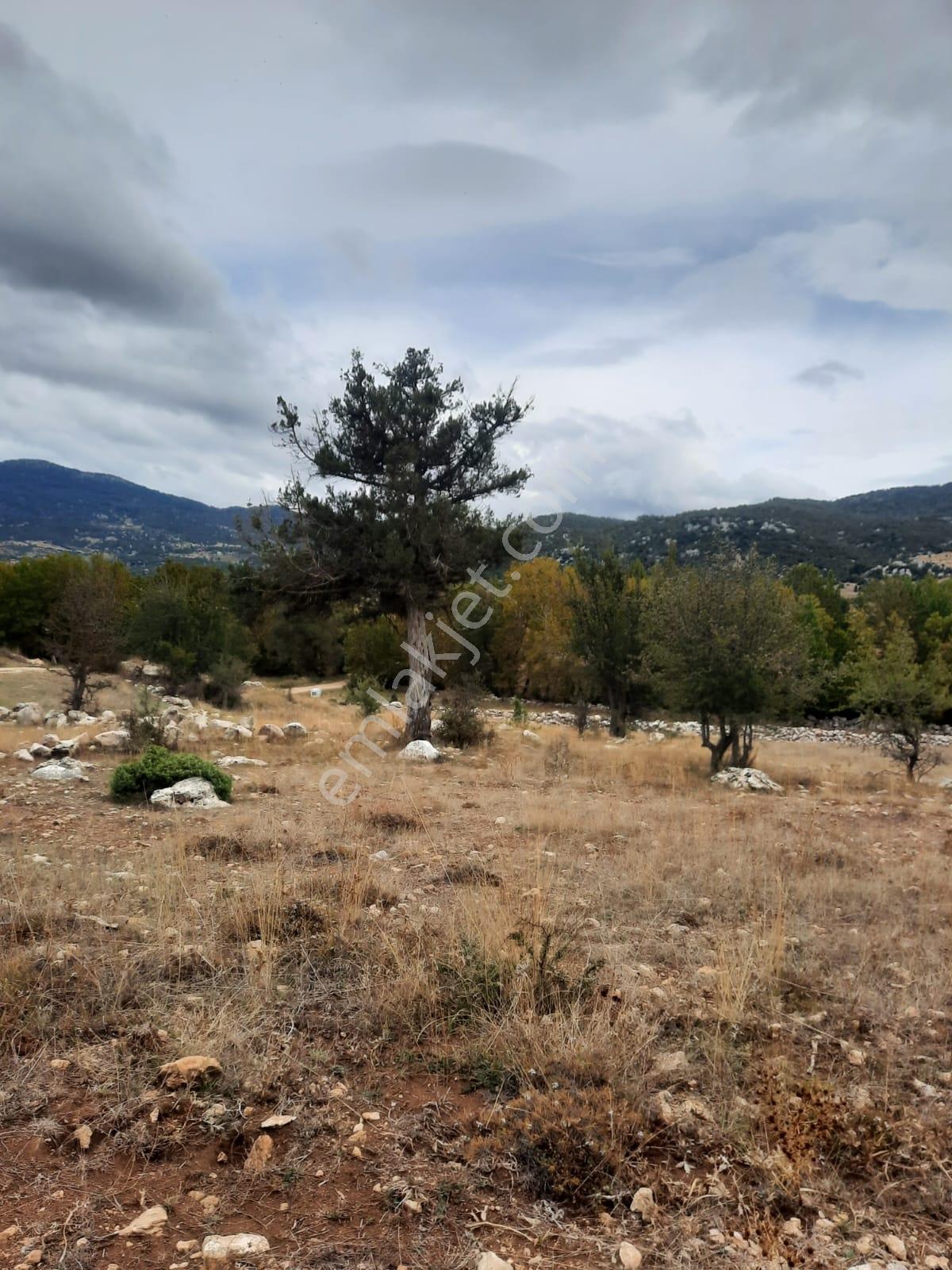 Seydikemer Y. Eldirek Tek Tapu Müstakil Arazi 4361 M2 — fotoğraf 9