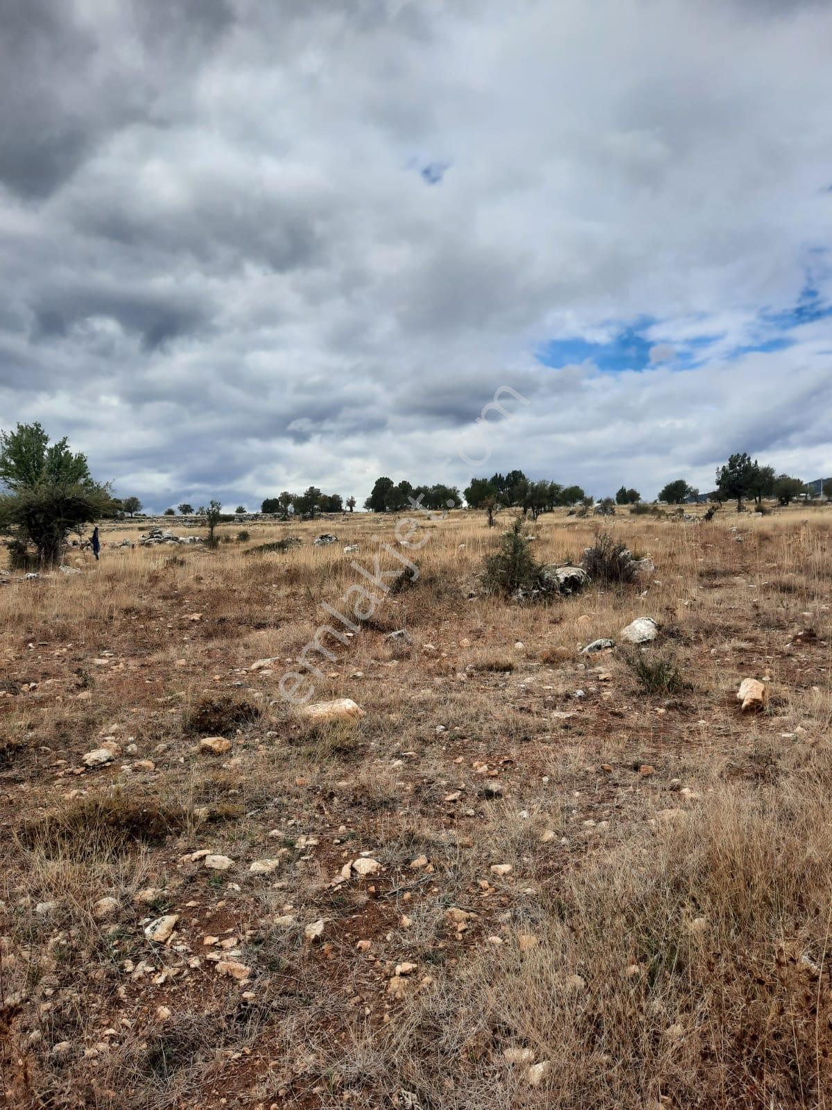 Seydikemer Y. Eldirek Tek Tapu Müstakil Arazi 4361 M2 — fotoğraf 10