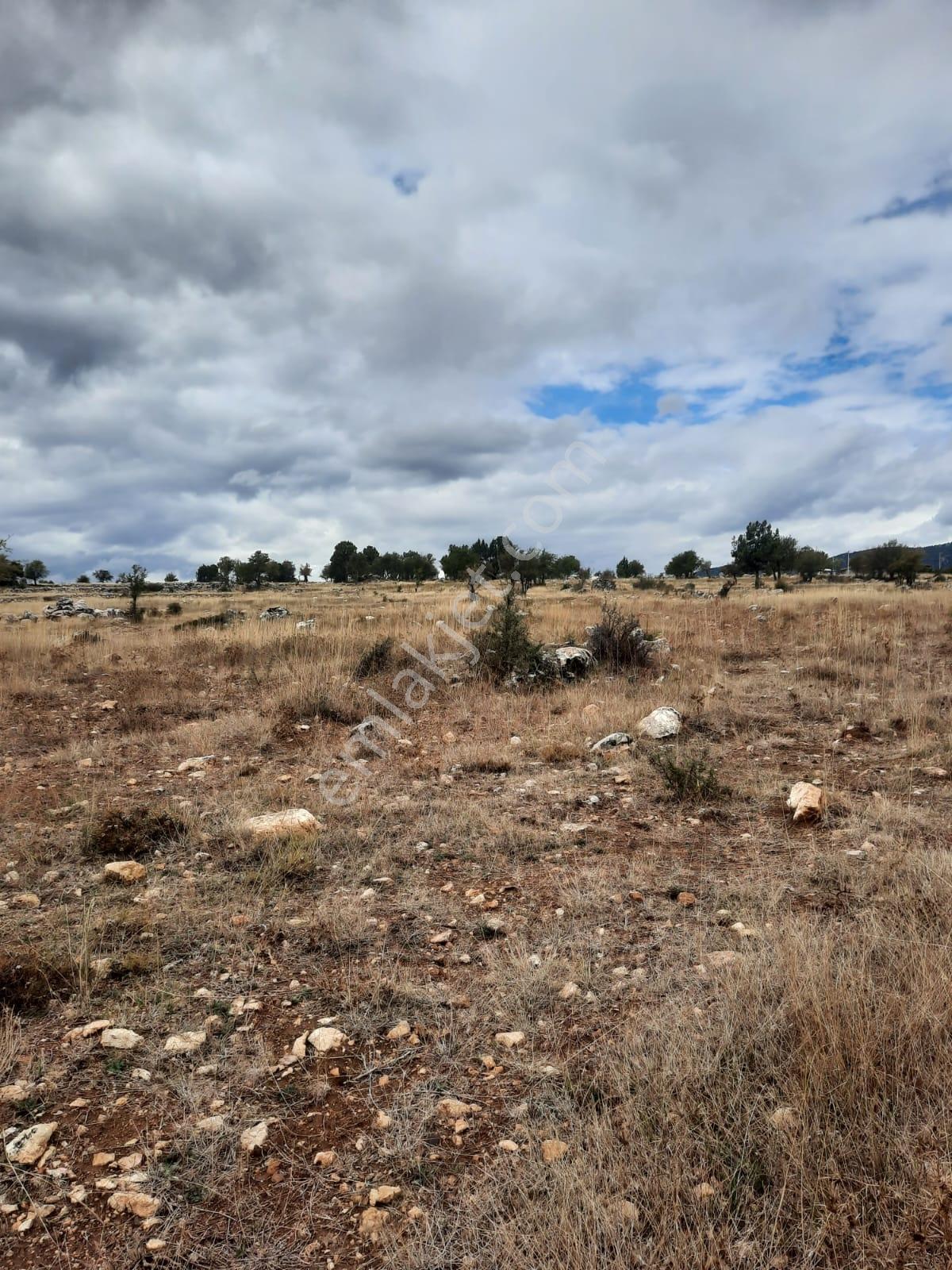 Seydikemer Y. Eldirek Tek Tapu Müstakil Arazi 4361 M2 — fotoğraf 11