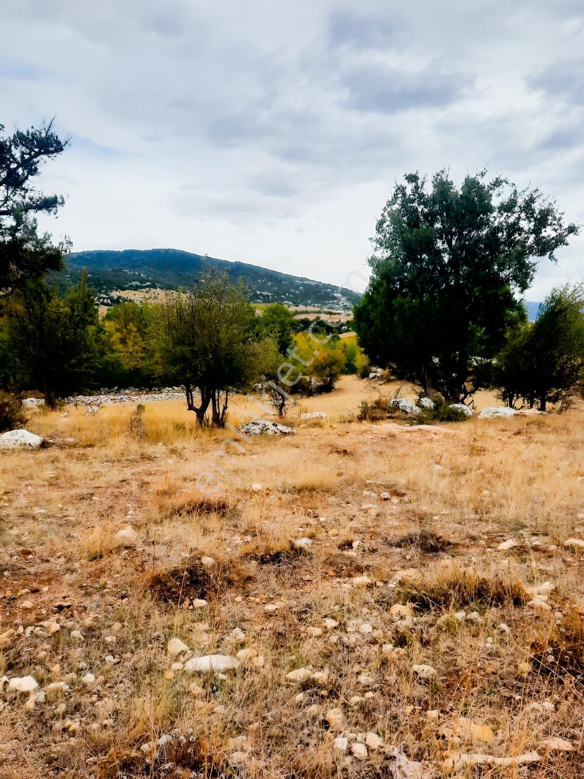 Seydikemer Y. Eldirek Tek Tapu Müstakil Arazi 4361 M2 — fotoğraf 12