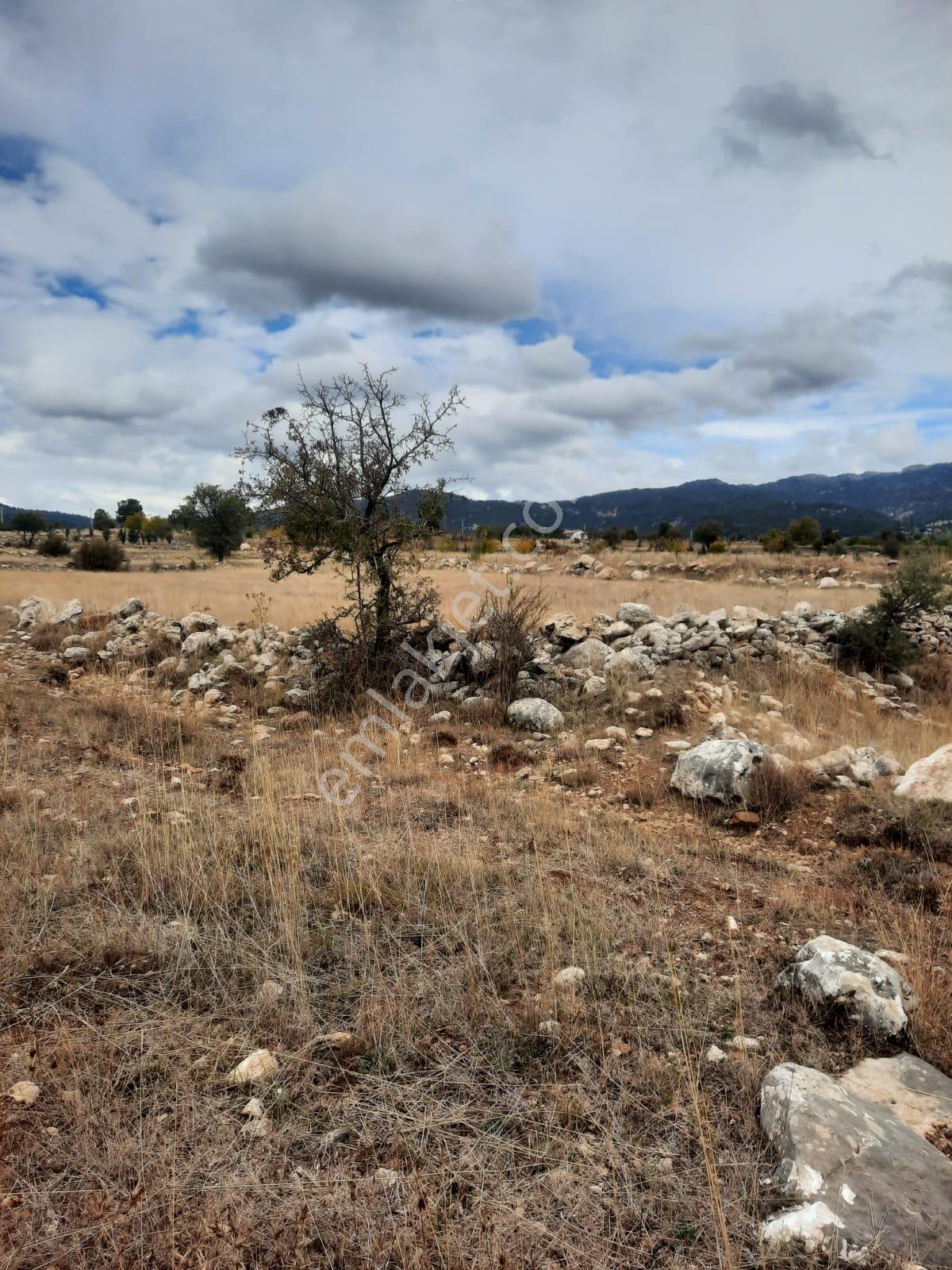 Seydikemer Y. Eldirek Tek Tapu Müstakil Arazi 4361 M2 — fotoğraf 13