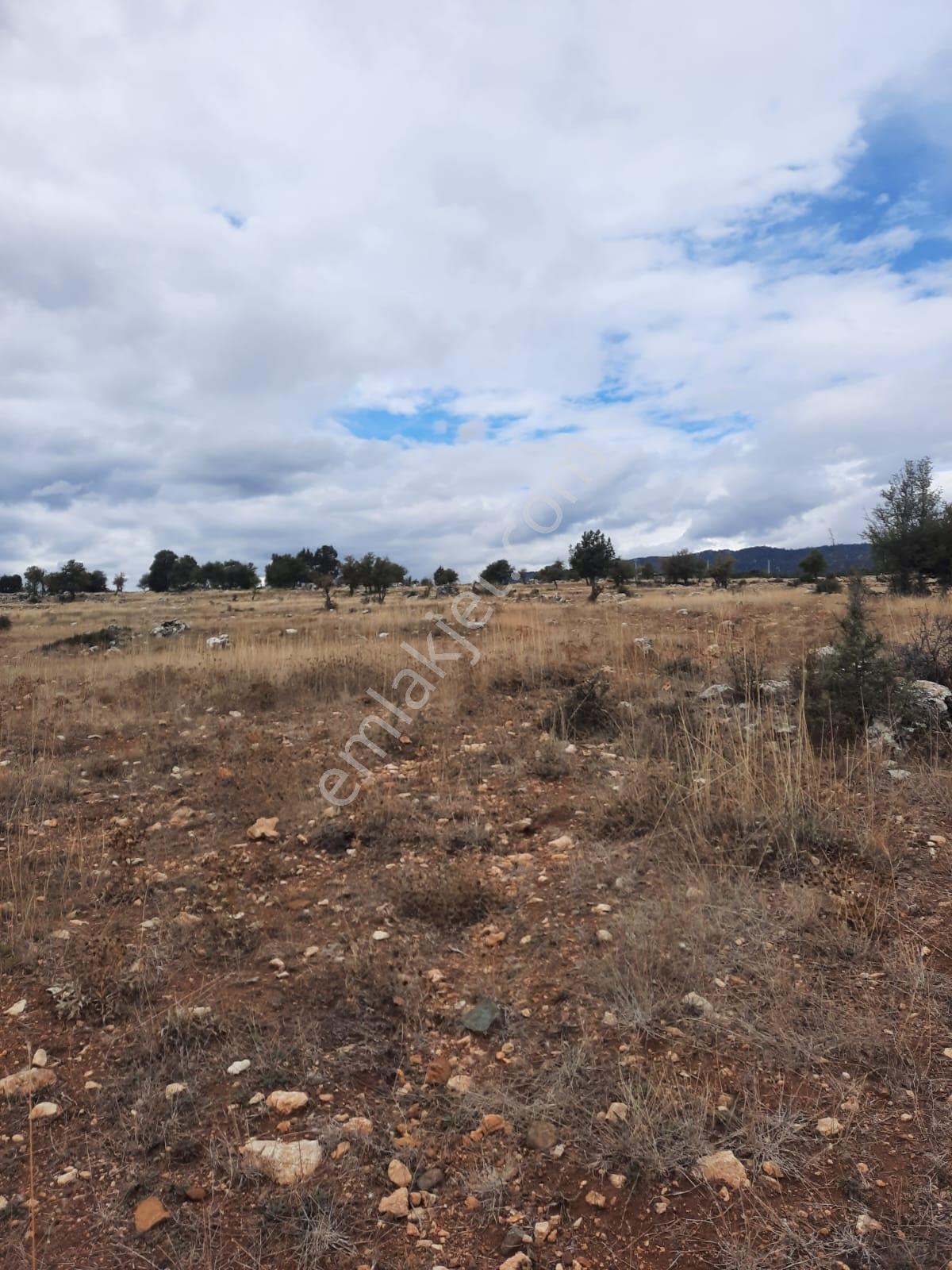 Seydikemer Y. Eldirek Tek Tapu Müstakil Arazi 4361 M2 — fotoğraf 14