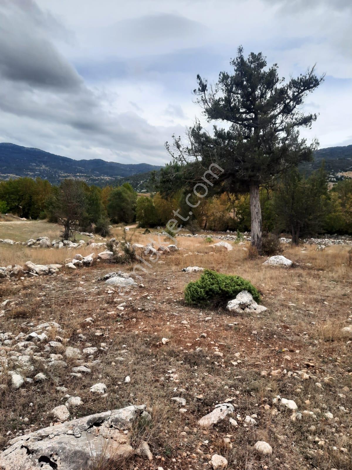Seydikemer Y. Eldirek Tek Tapu Müstakil Arazi 4361 M2 — fotoğraf 15