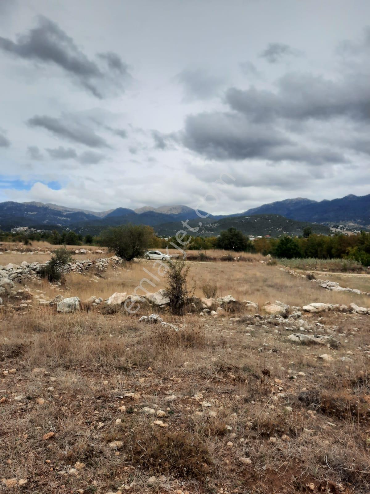 Seydikemer Y. Eldirek Tek Tapu Müstakil Arazi 4361 M2 — fotoğraf 16