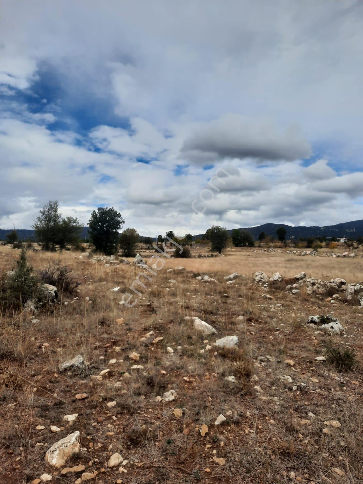 Seydikemer Y. Eldirek Tek Tapu Müstakil Arazi 4361 M2 — fotoğraf 17