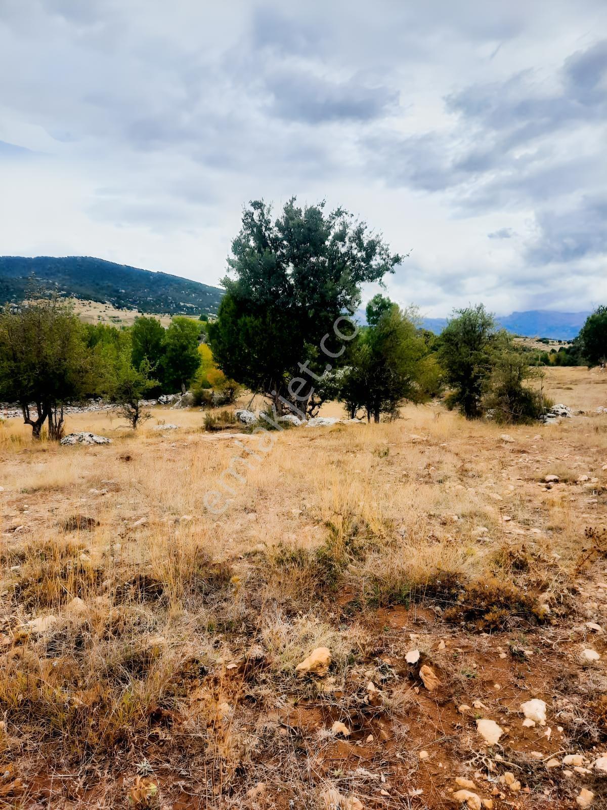 Seydikemer Y. Eldirek Tek Tapu Müstakil Arazi 4361 M2 — fotoğraf 18