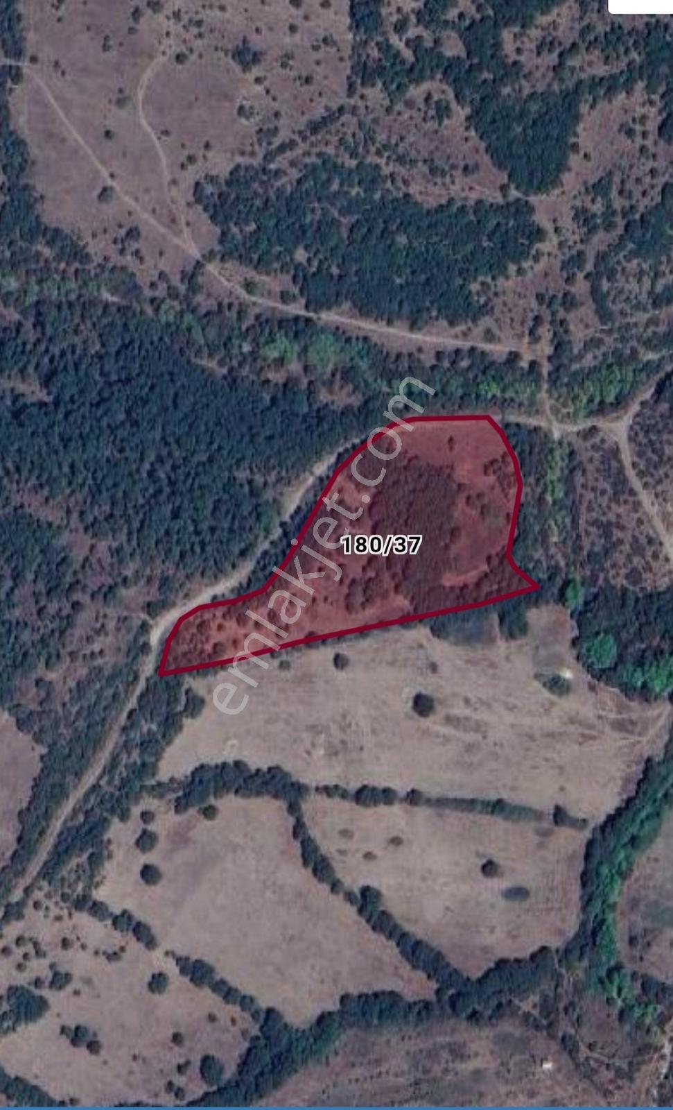 Bayramiç Muratlar Köyü'Nde Yola Yakın 13.500 M2 Satılık Tarla