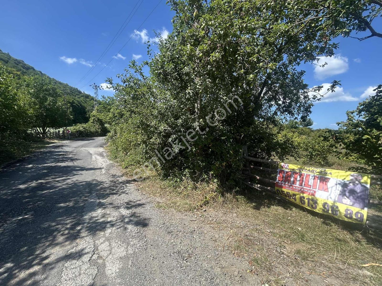 ! Tek Tapu ! Deniz Manzaralı Satılık Tarla