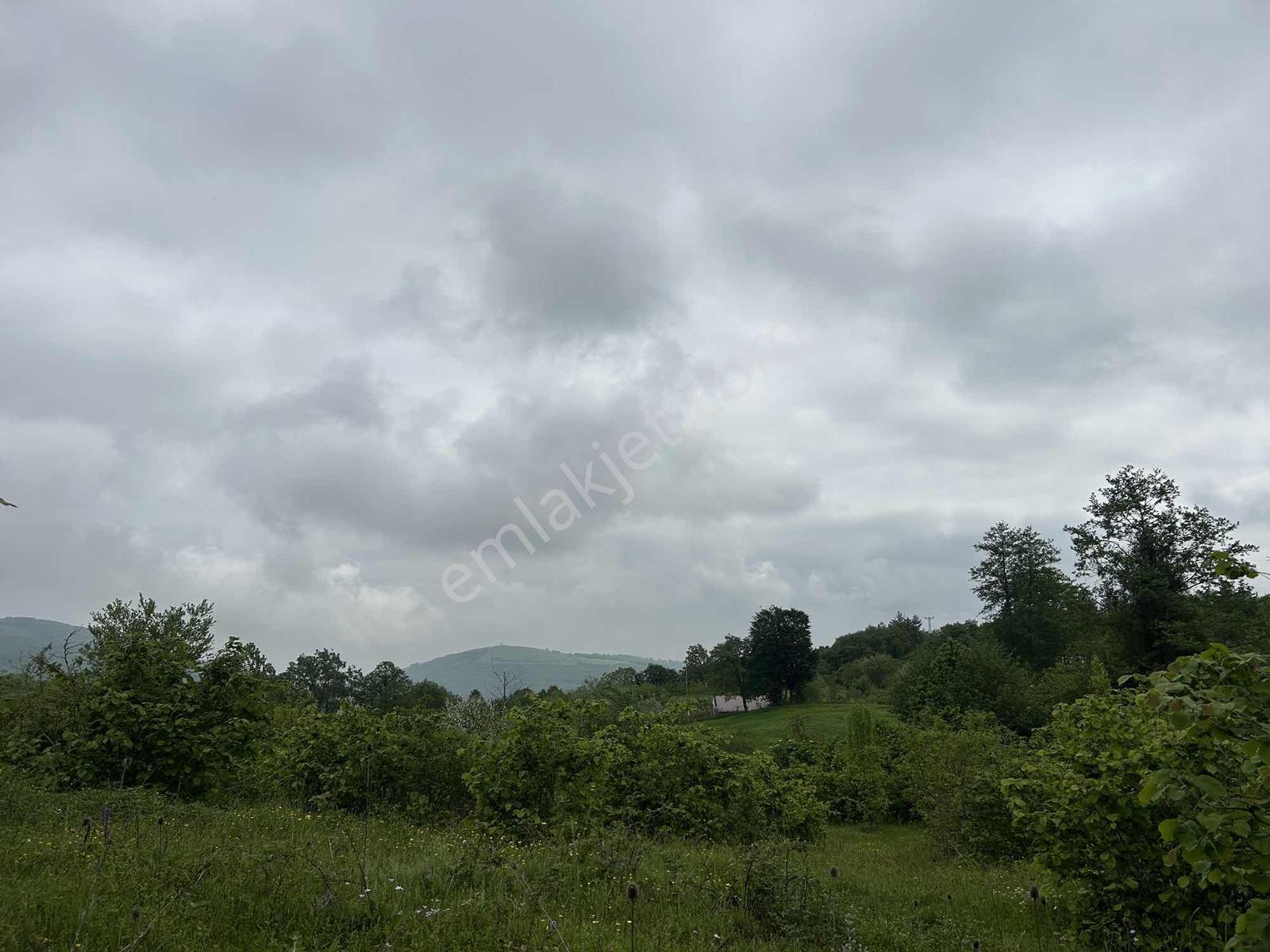 ! Tek Tapu ! Deniz Manzaralı Satılık Tarla — fotoğraf 22