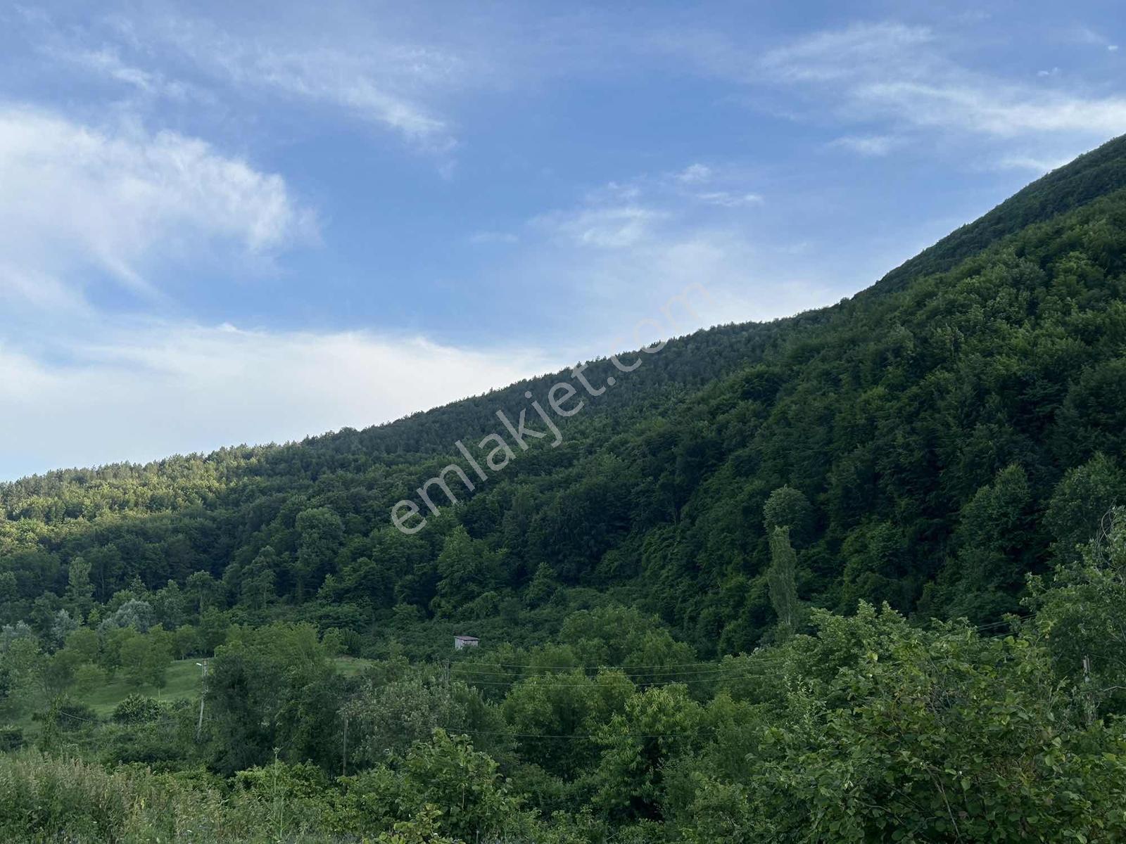 ! Tek Tapu ! Deniz Manzaralı Satılık Tarla — fotoğraf 25