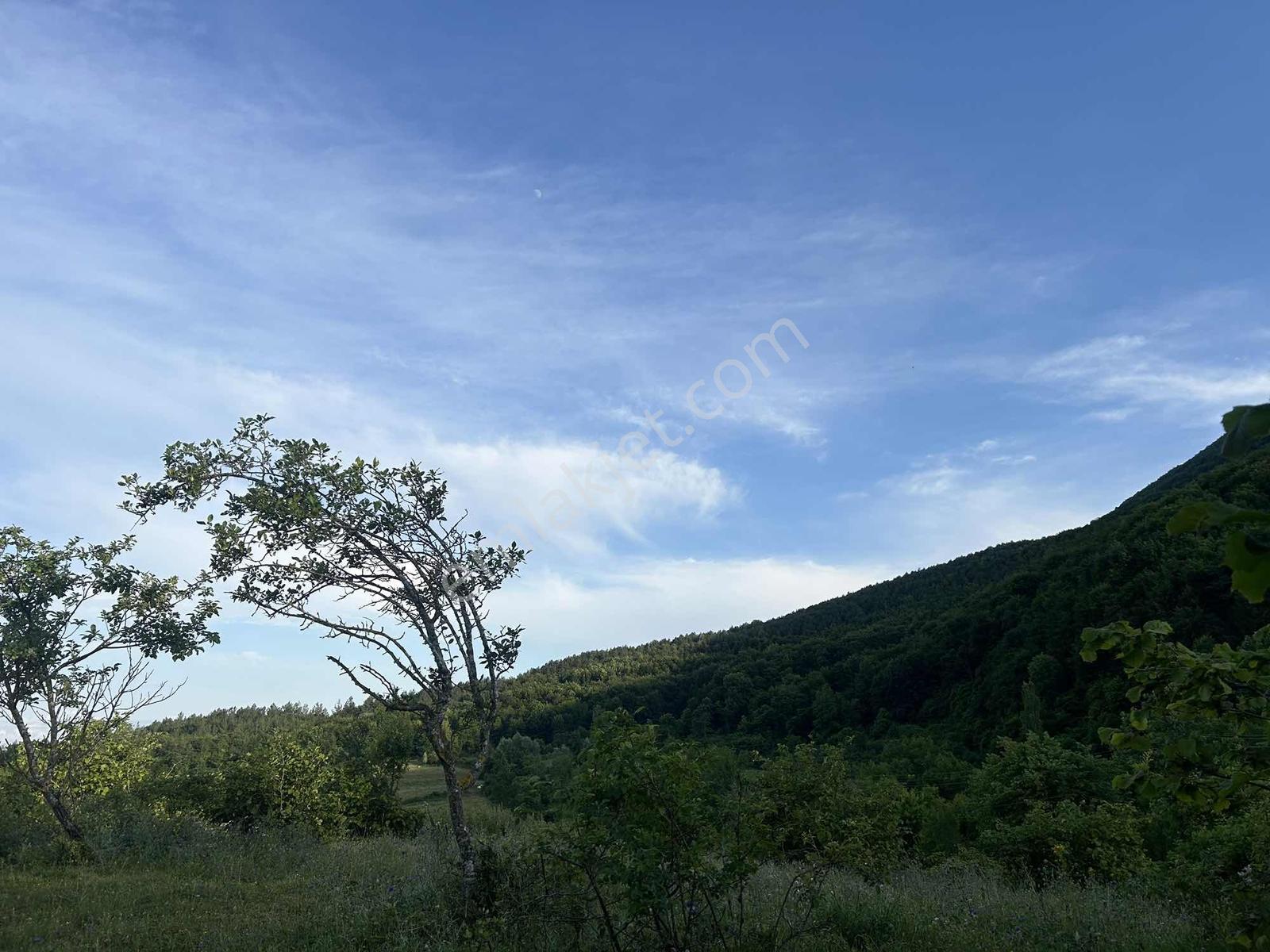 ! Tek Tapu ! Deniz Manzaralı Satılık Tarla — fotoğraf 27