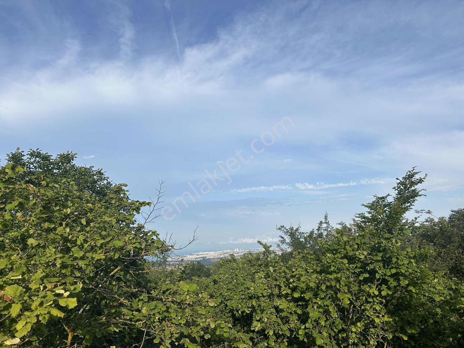 ! Tek Tapu ! Deniz Manzaralı Satılık Tarla — fotoğraf 31