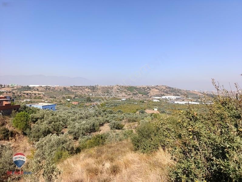 211 Turgutlu Çepnıbektaşta 4317 M² Köye Yürüme Mesafesınde
