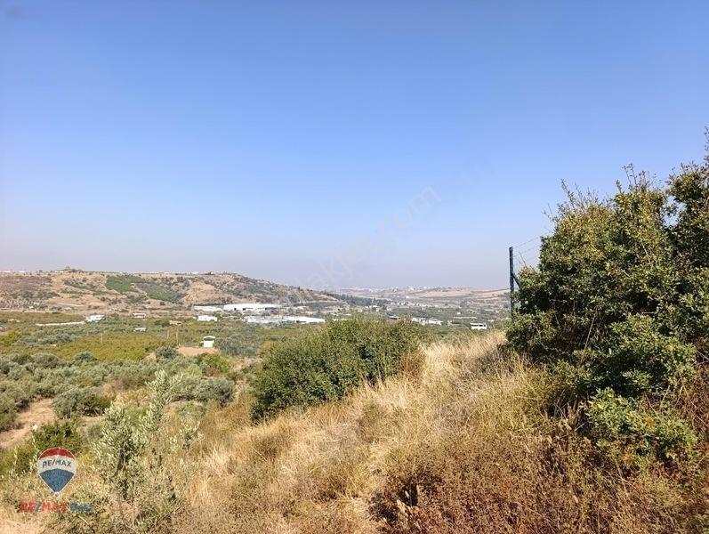 211 Turgutlu Çepnıbektaşta 4317 M² Köye Yürüme Mesafesınde — fotoğraf 3