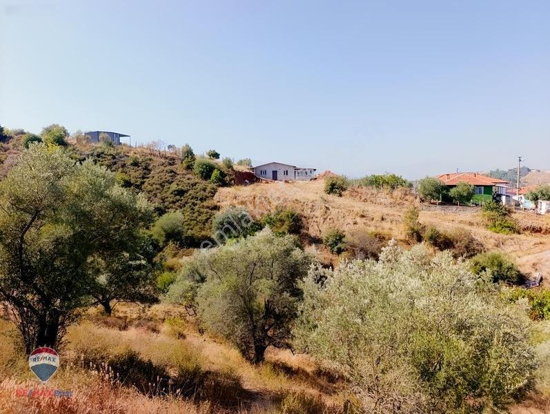 211 Turgutlu Çepnıbektaşta 4317 M² Köye Yürüme Mesafesınde — fotoğraf 4