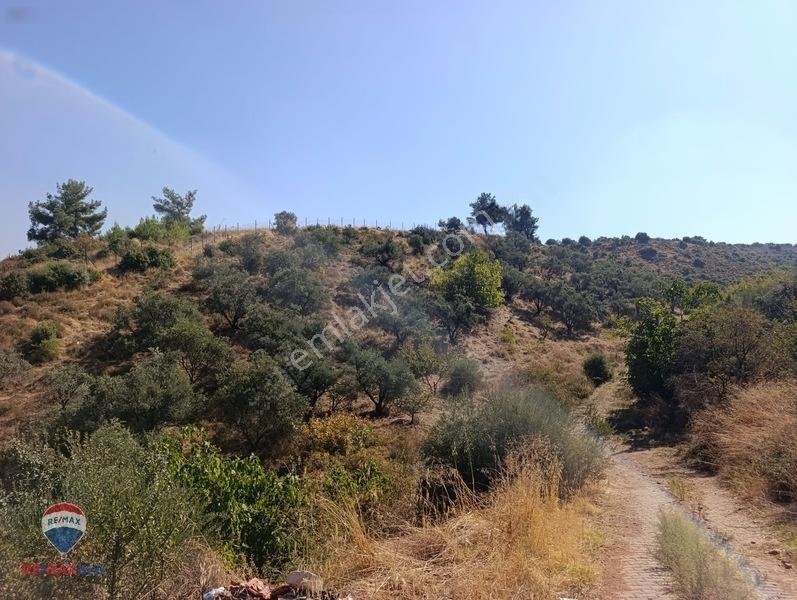 211 Turgutlu Çepnıbektaşta 4317 M² Köye Yürüme Mesafesınde — fotoğraf 6