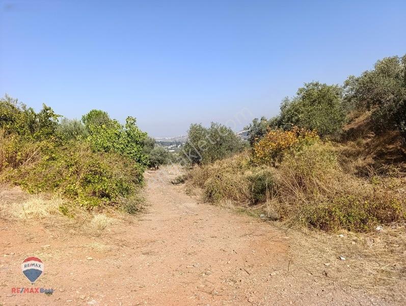 211 Turgutlu Çepnıbektaşta 4317 M² Köye Yürüme Mesafesınde — fotoğraf 8