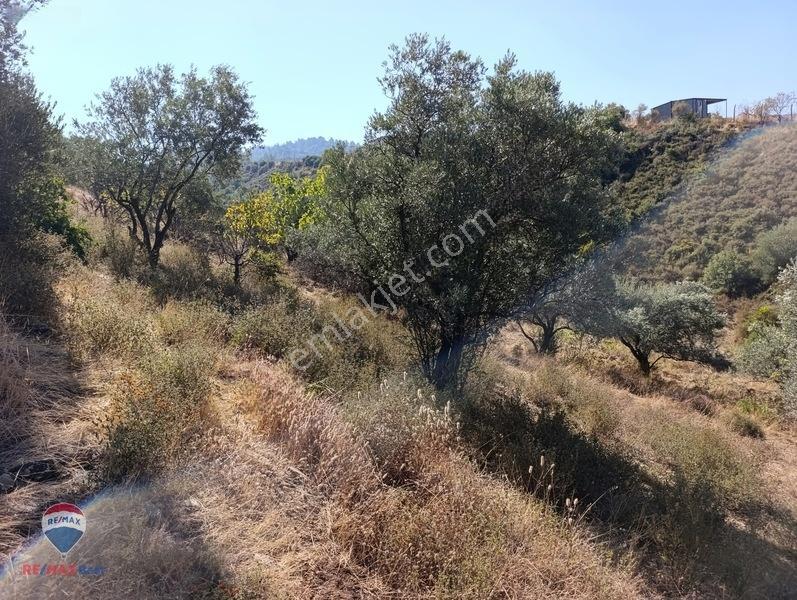 211 Turgutlu Çepnıbektaşta 4317 M² Köye Yürüme Mesafesınde — fotoğraf 9