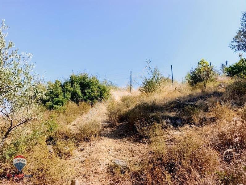 211 Turgutlu Çepnıbektaşta 4317 M² Köye Yürüme Mesafesınde — fotoğraf 12