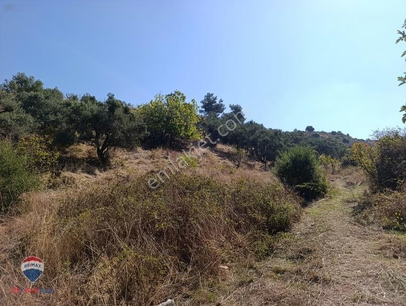 211 Turgutlu Çepnıbektaşta 4317 M² Köye Yürüme Mesafesınde — fotoğraf 13