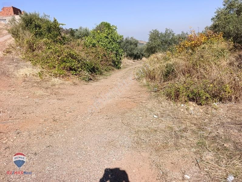 211 Turgutlu Çepnıbektaşta 4317 M² Köye Yürüme Mesafesınde — fotoğraf 15