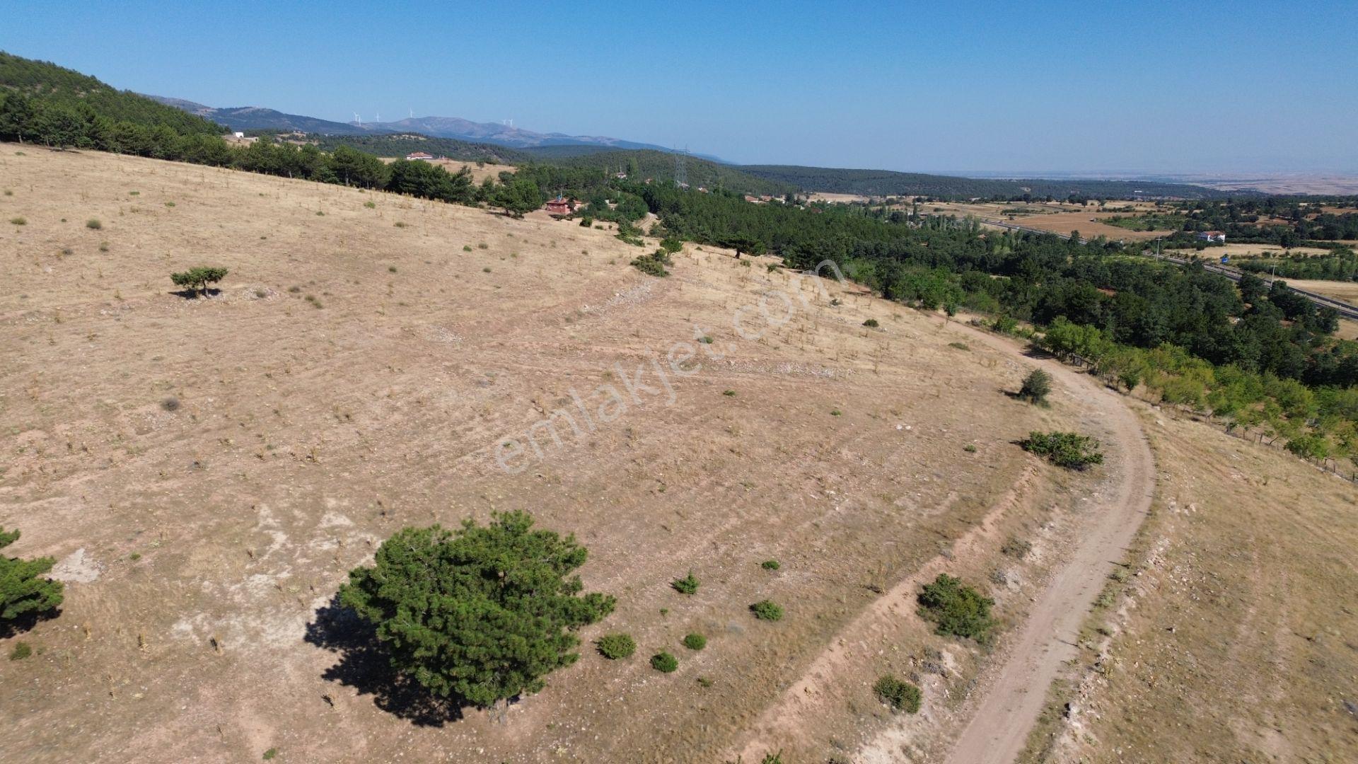 Doğanhisar Kemer Mahallesi'nde Satılık 17.282 M² Tarla — fotoğraf 11