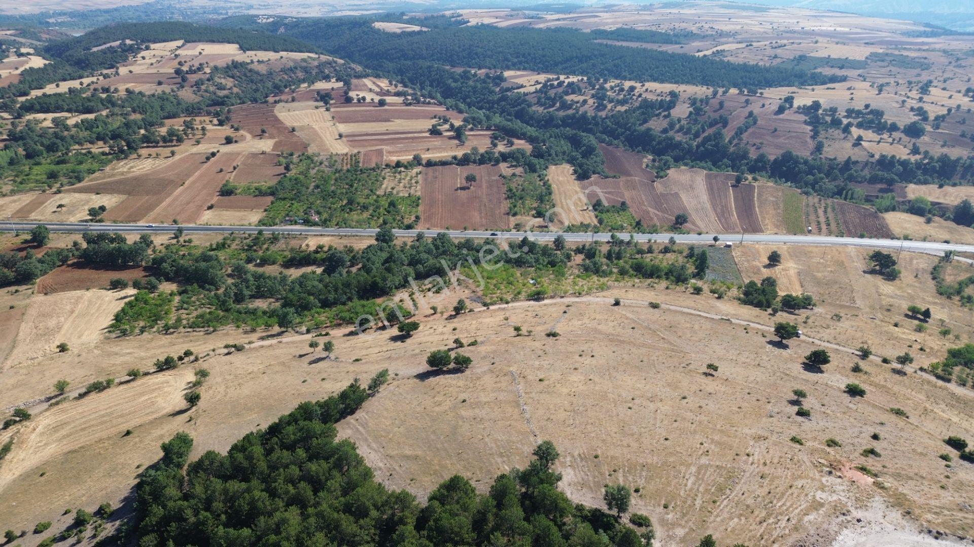 Doğanhisar Kemer Mahallesi'nde Satılık 17.282 M² Tarla — fotoğraf 13