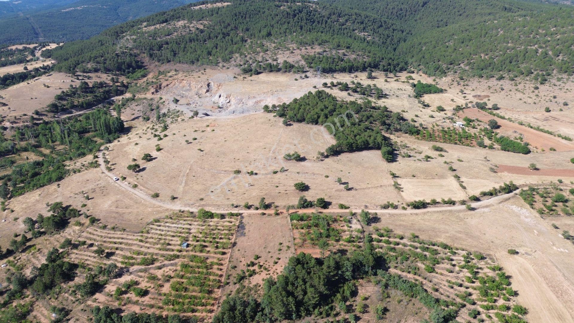 Doğanhisar Kemer Mahallesi'nde Satılık 17.282 M² Tarla — fotoğraf 14