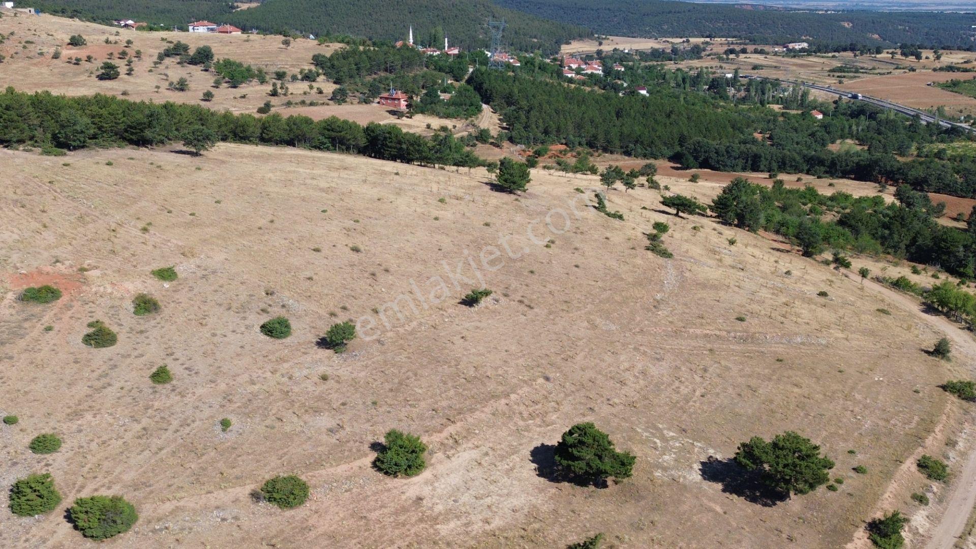 Doğanhisar Kemer Mahallesi'nde Satılık 17.282 M² Tarla — fotoğraf 15